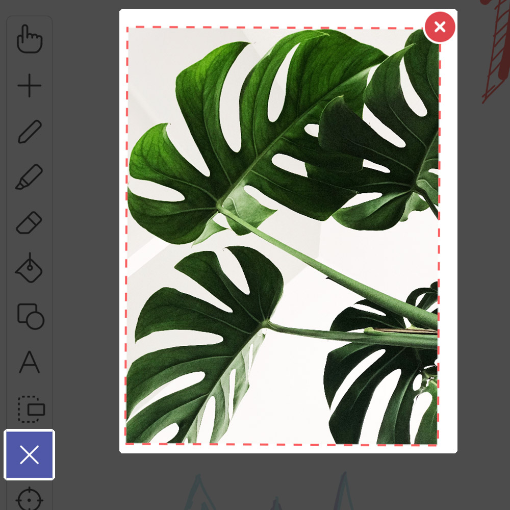 delete asset in explain everything